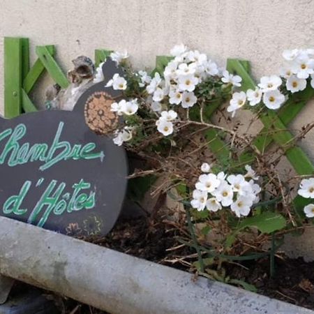 La Maison Des Fleurs Scrignac Esterno foto