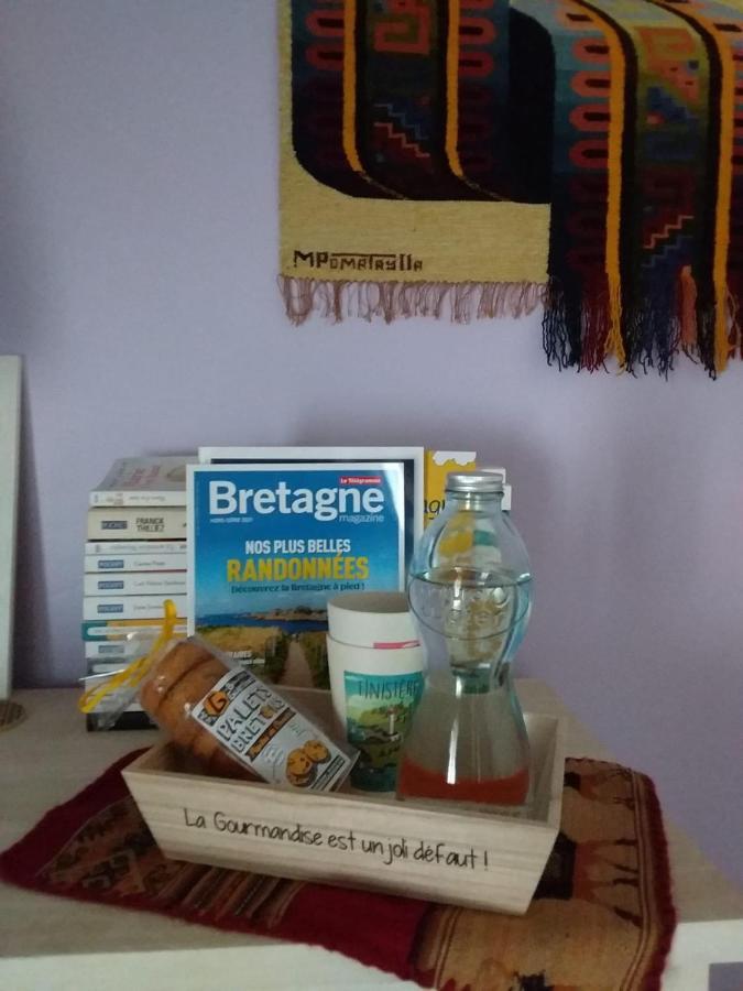La Maison Des Fleurs Scrignac Esterno foto