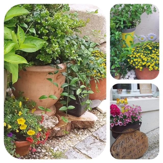 La Maison Des Fleurs Scrignac Esterno foto