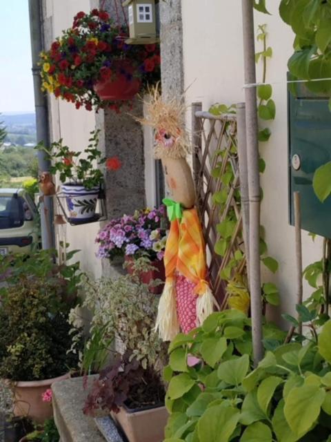 La Maison Des Fleurs Scrignac Esterno foto